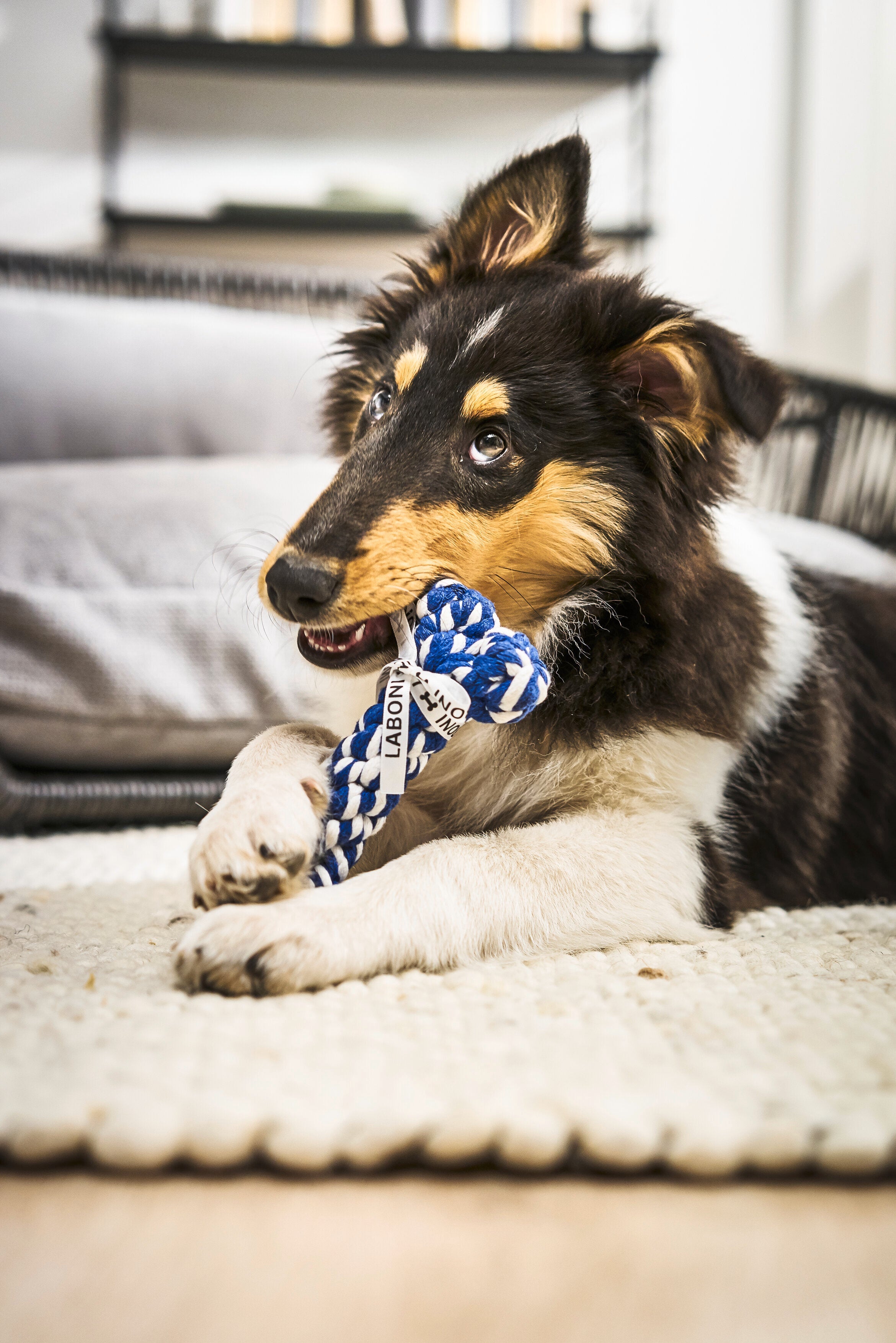 10300_2BIogSJq7dnvbe