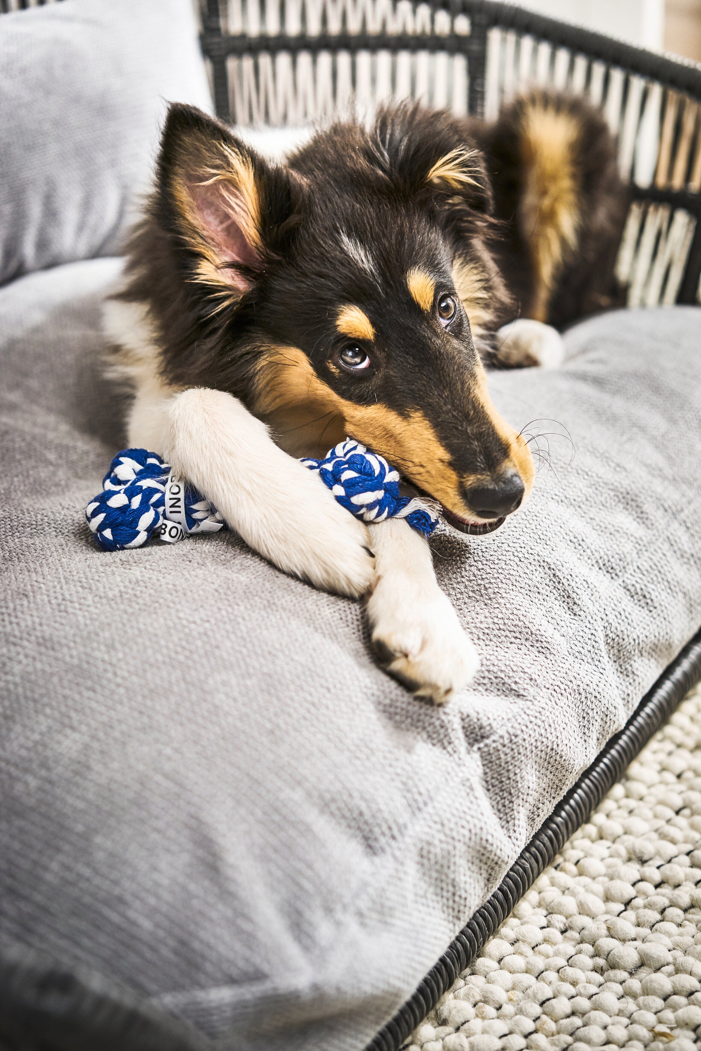 10300_3uSzWkUZpLXQC3