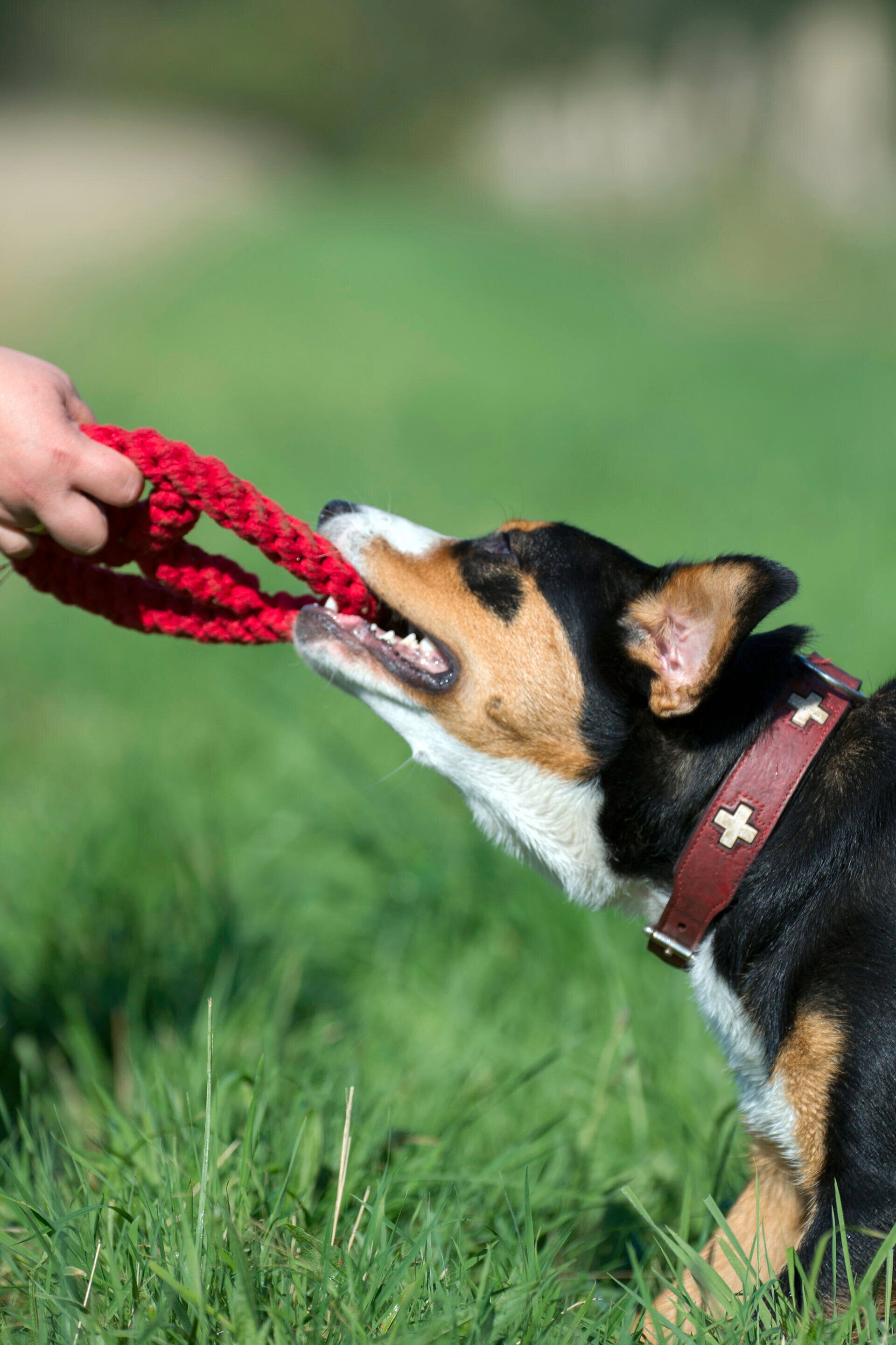 11900_3hKtSiYPDJawfT