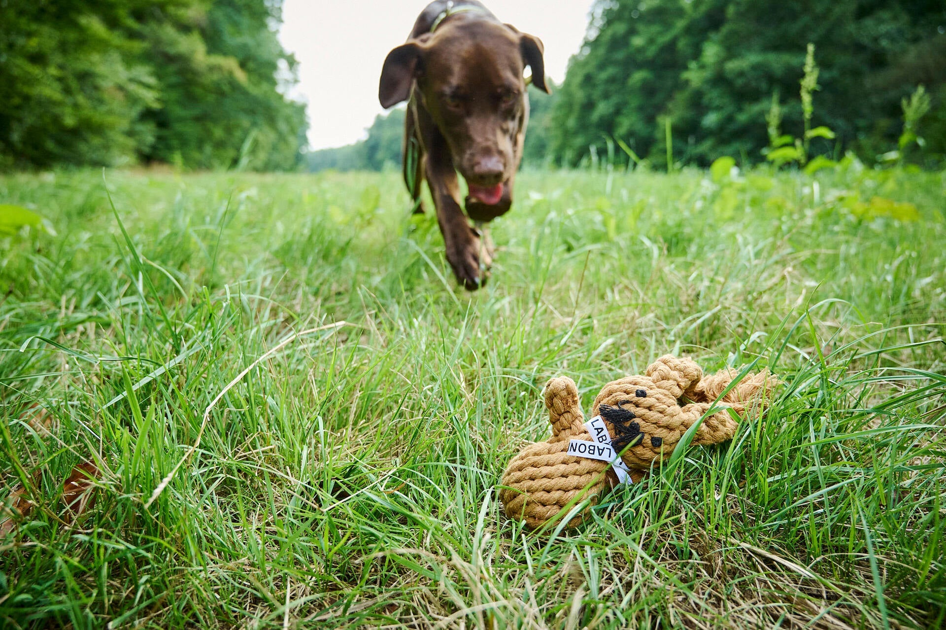 12100_6hJ3ntoPb2iEm1