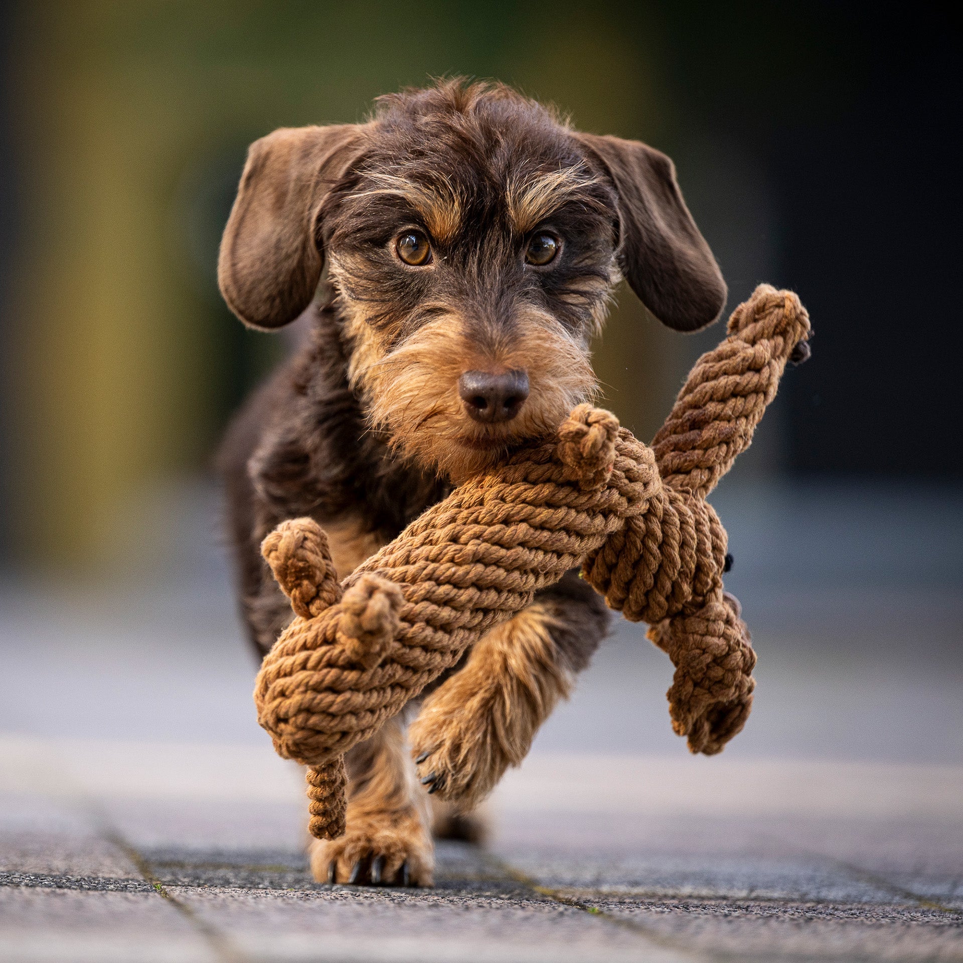 12804_3awWCnMDgg41DA