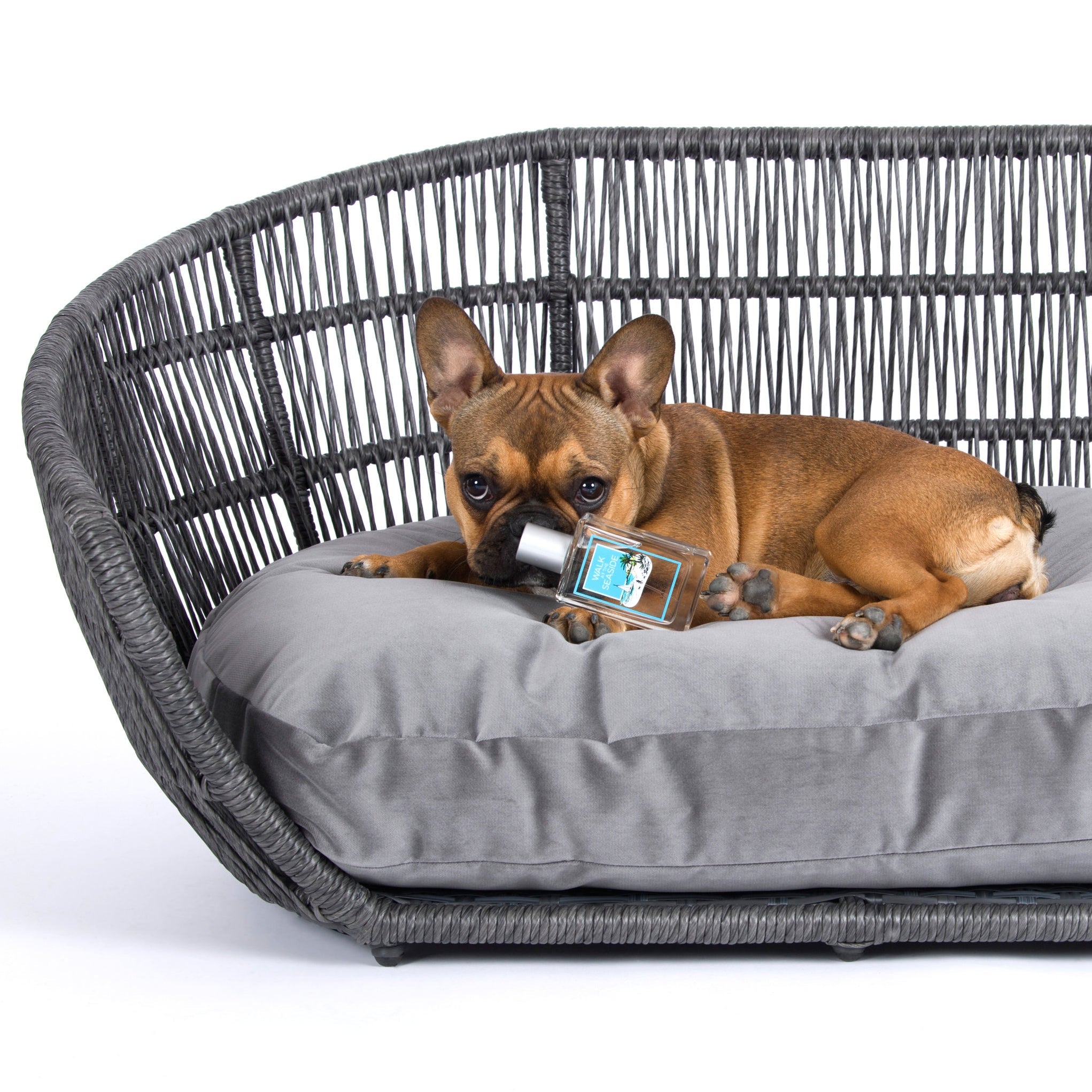 13001_1-Monsieur0BkuGH6LcQ9NJ