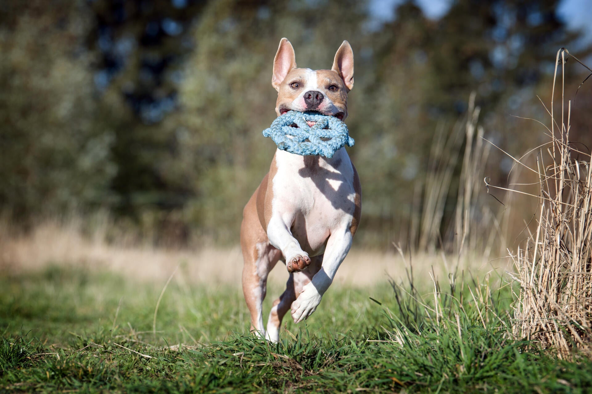 13001_3-MonsieurBOCUsqwVlBByu