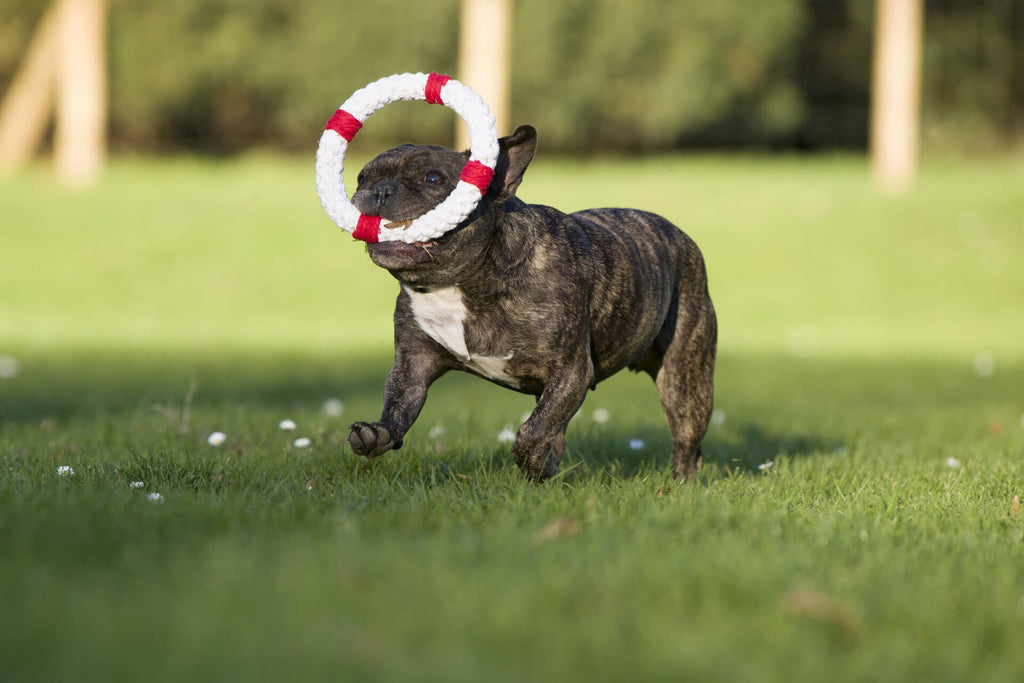 13002_2-Ahoy-LABONIoWIZxS96n4Rs5