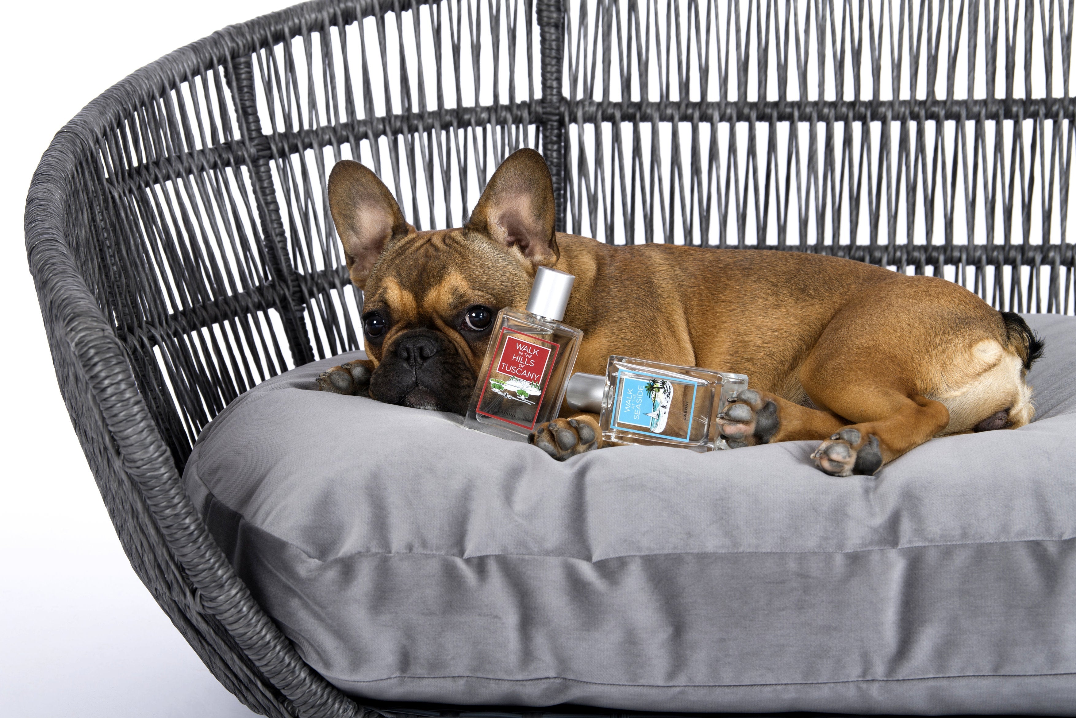 13005_2-Mme_LABONIeqDFnE06vY2Zy