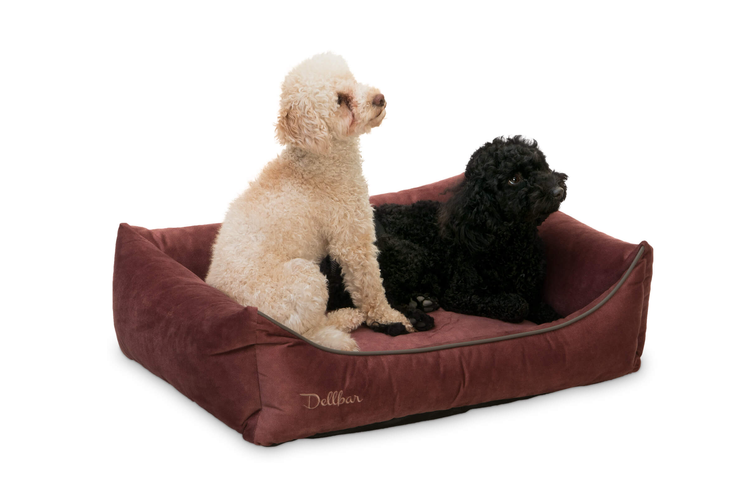 Dellbar Dog Basket