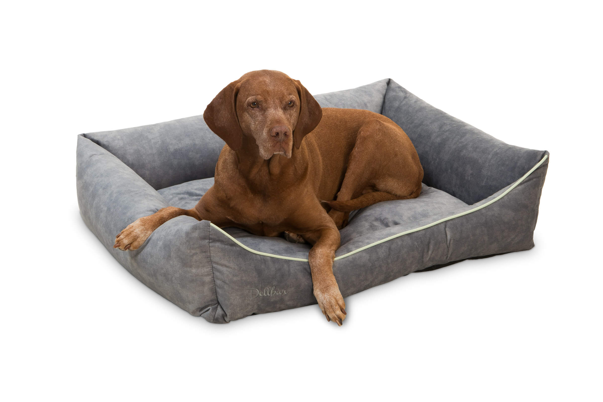 Dellbar Dog Basket