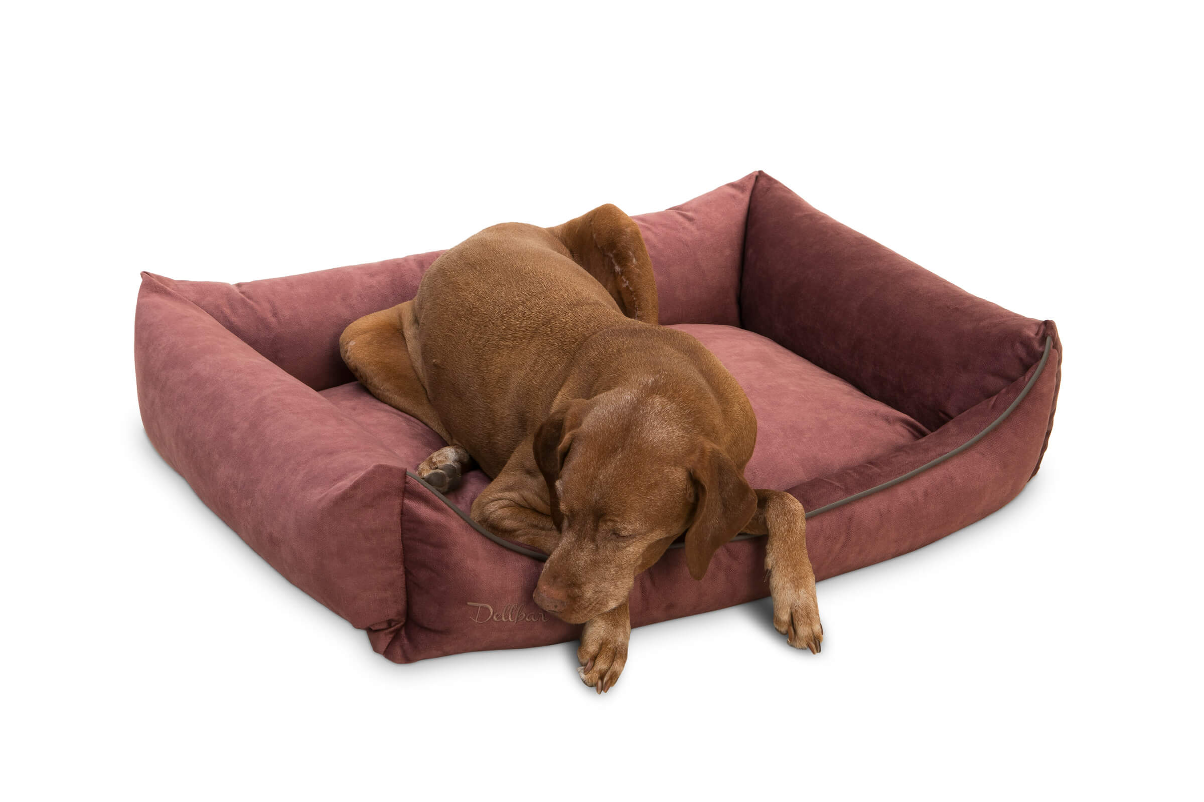 Dellbar Dog Basket