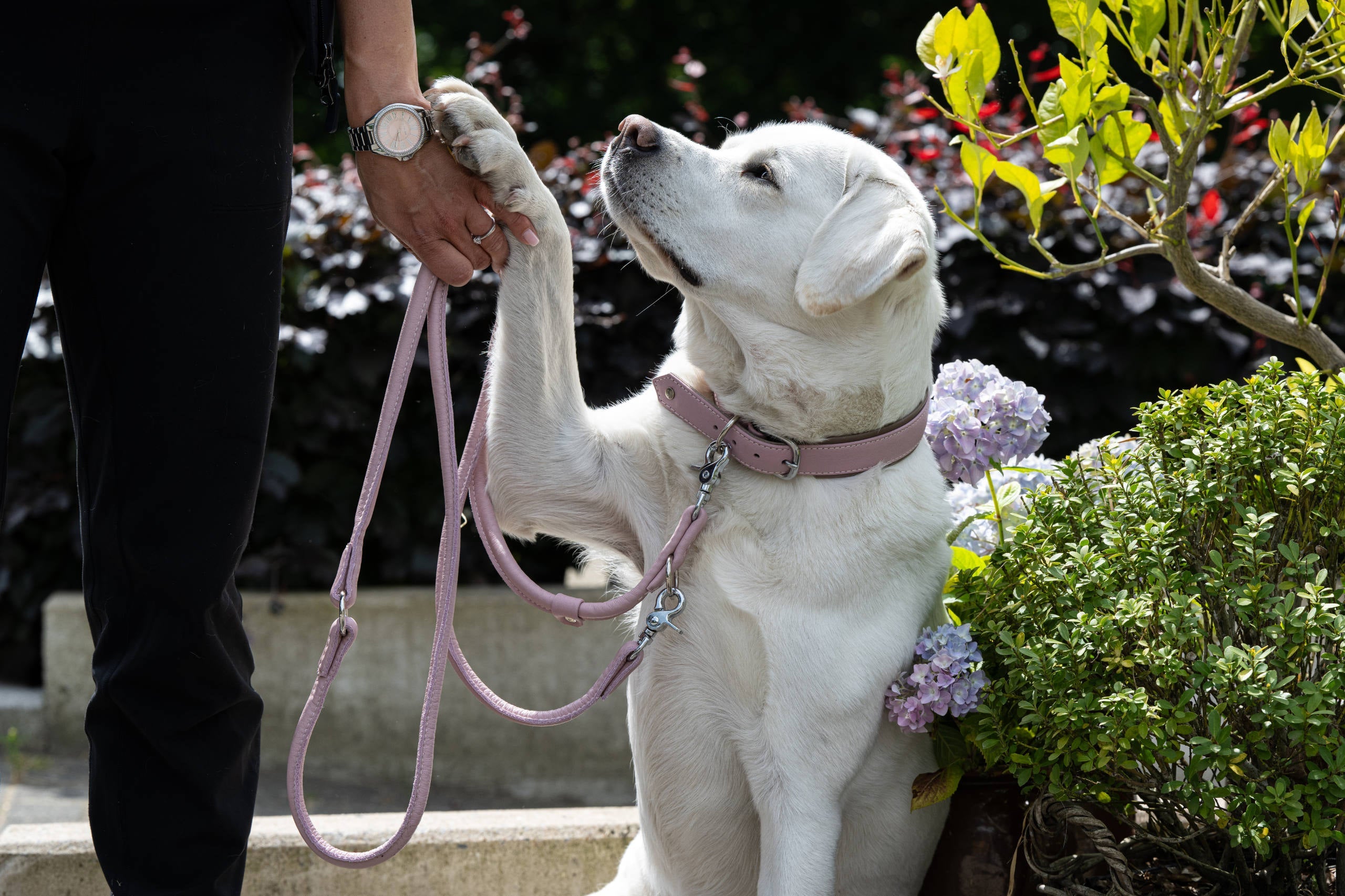 5011-109_3Z8k4yqikqJxJb