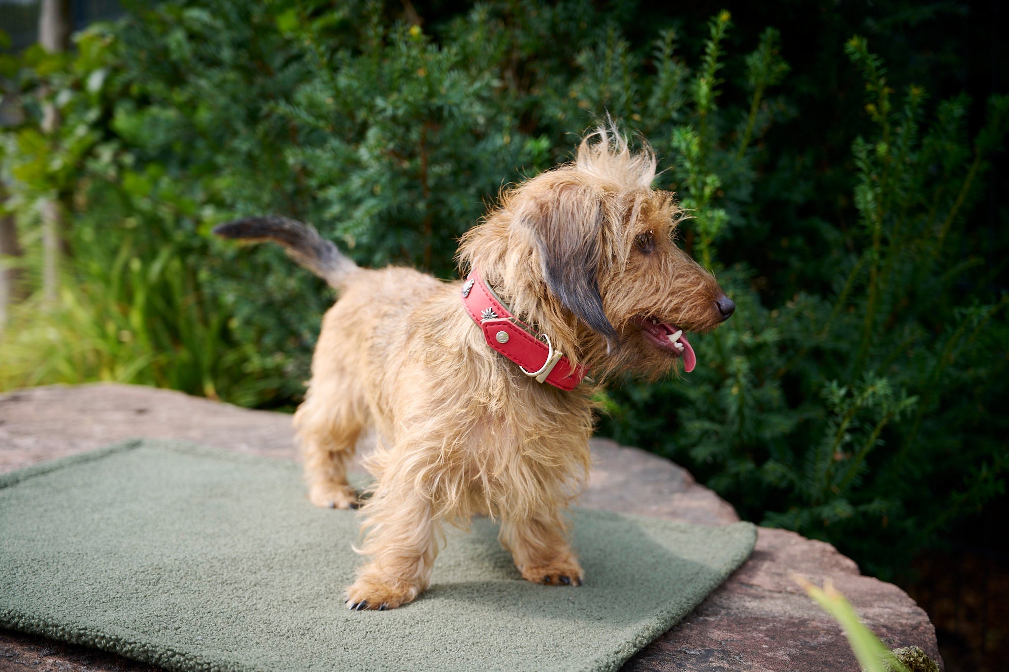 5021-005_10CdJQ160u02d4k