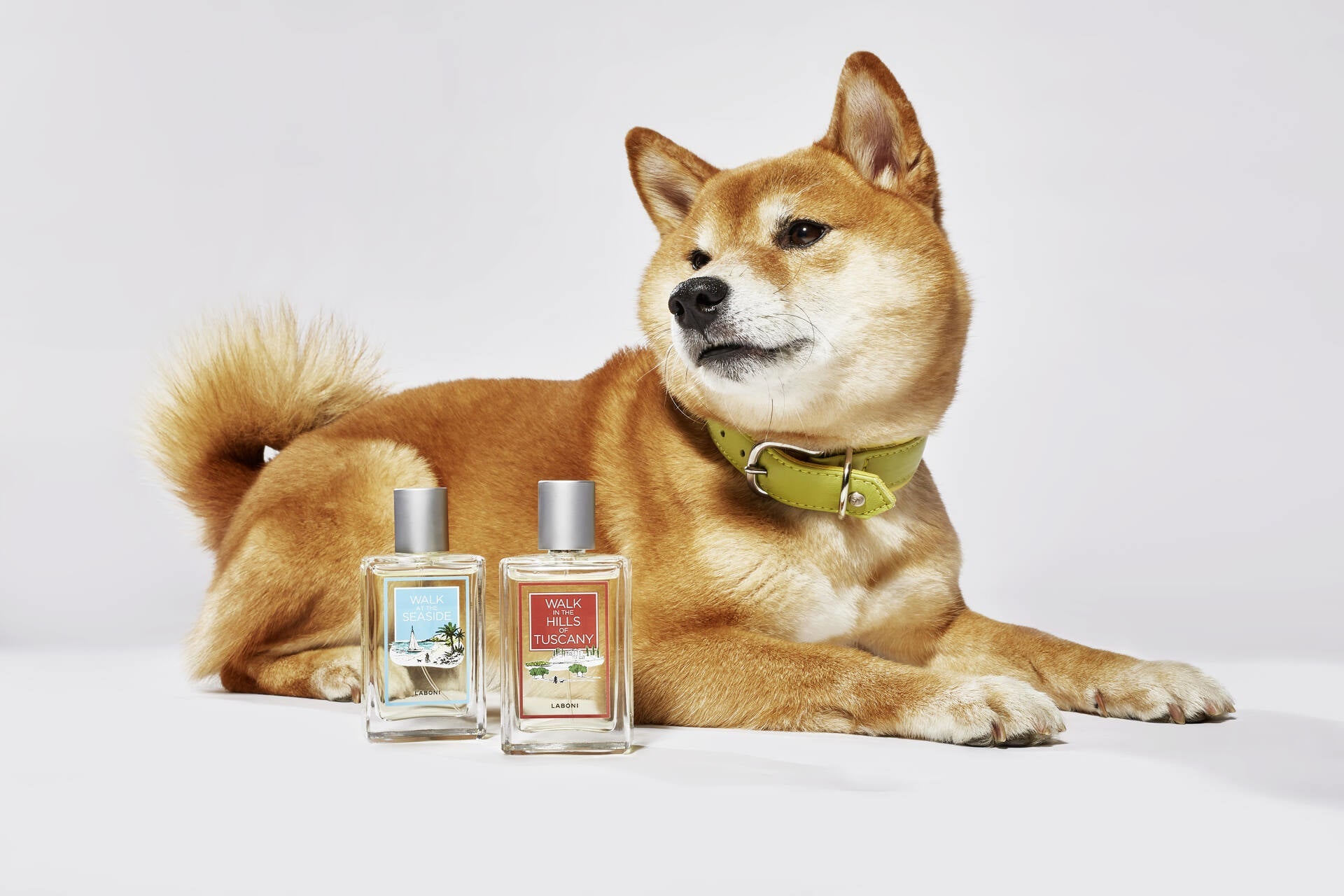 60000_3O4VF6e5zyXjzI