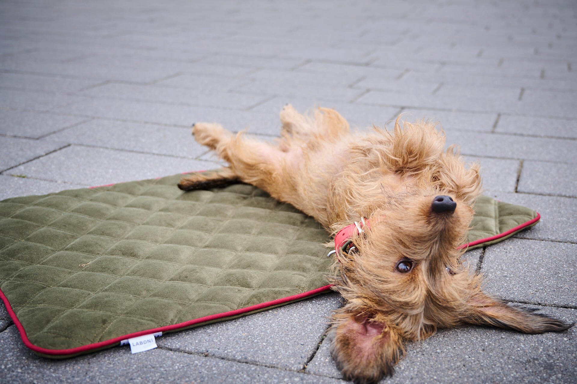 701200_6JhSxYNDn7ImC6