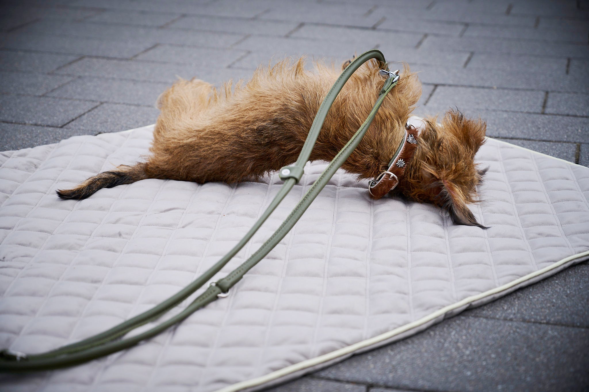 702201_3N6HKMBjolctKL