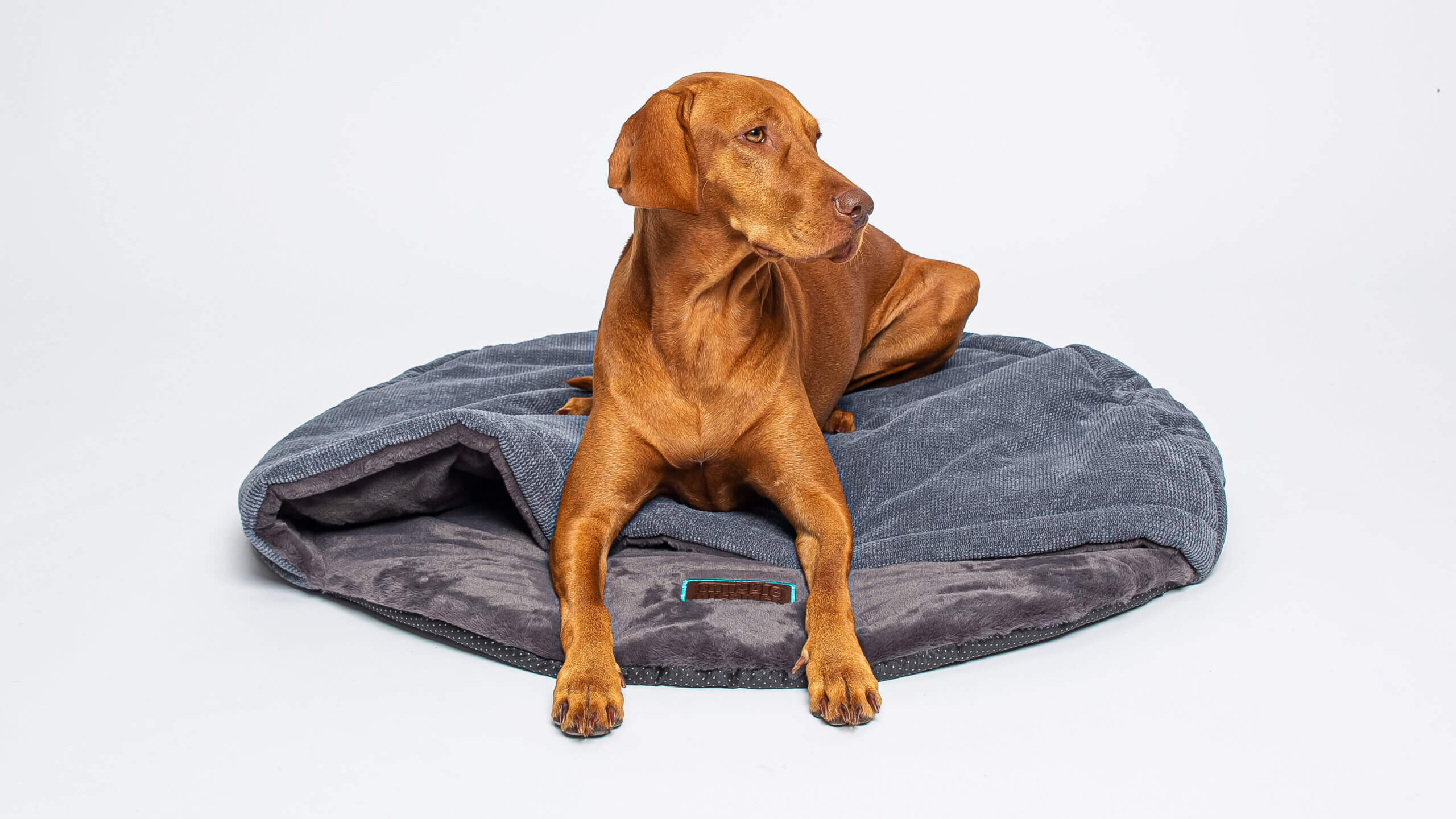 snuggle dreamer - Bess Travel Snuggle