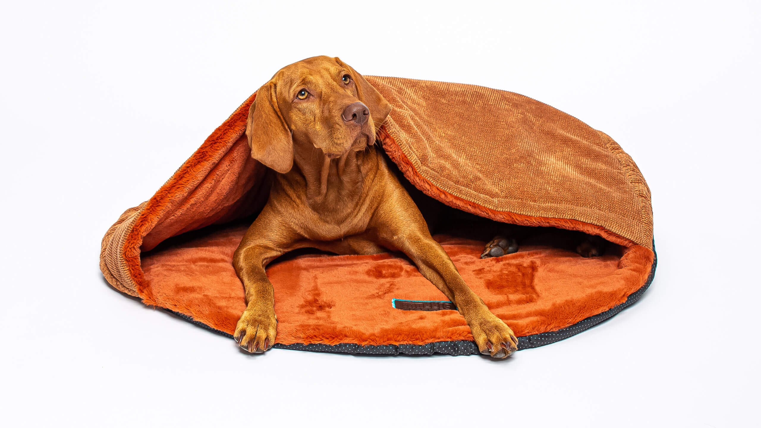 snuggle dreamer - Bess Travel Snuggle