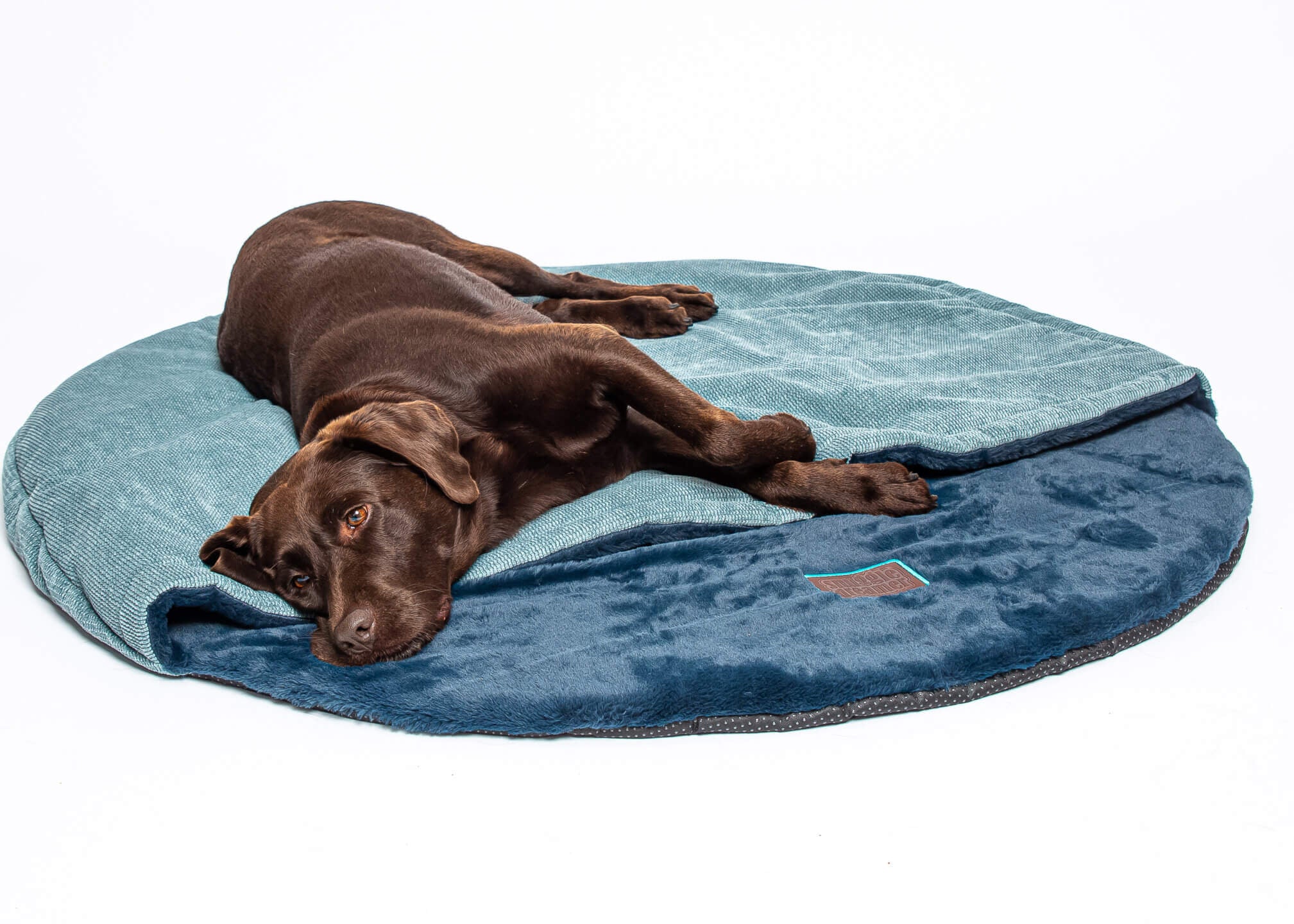 snuggle dreamer - Bess Travel Snuggle