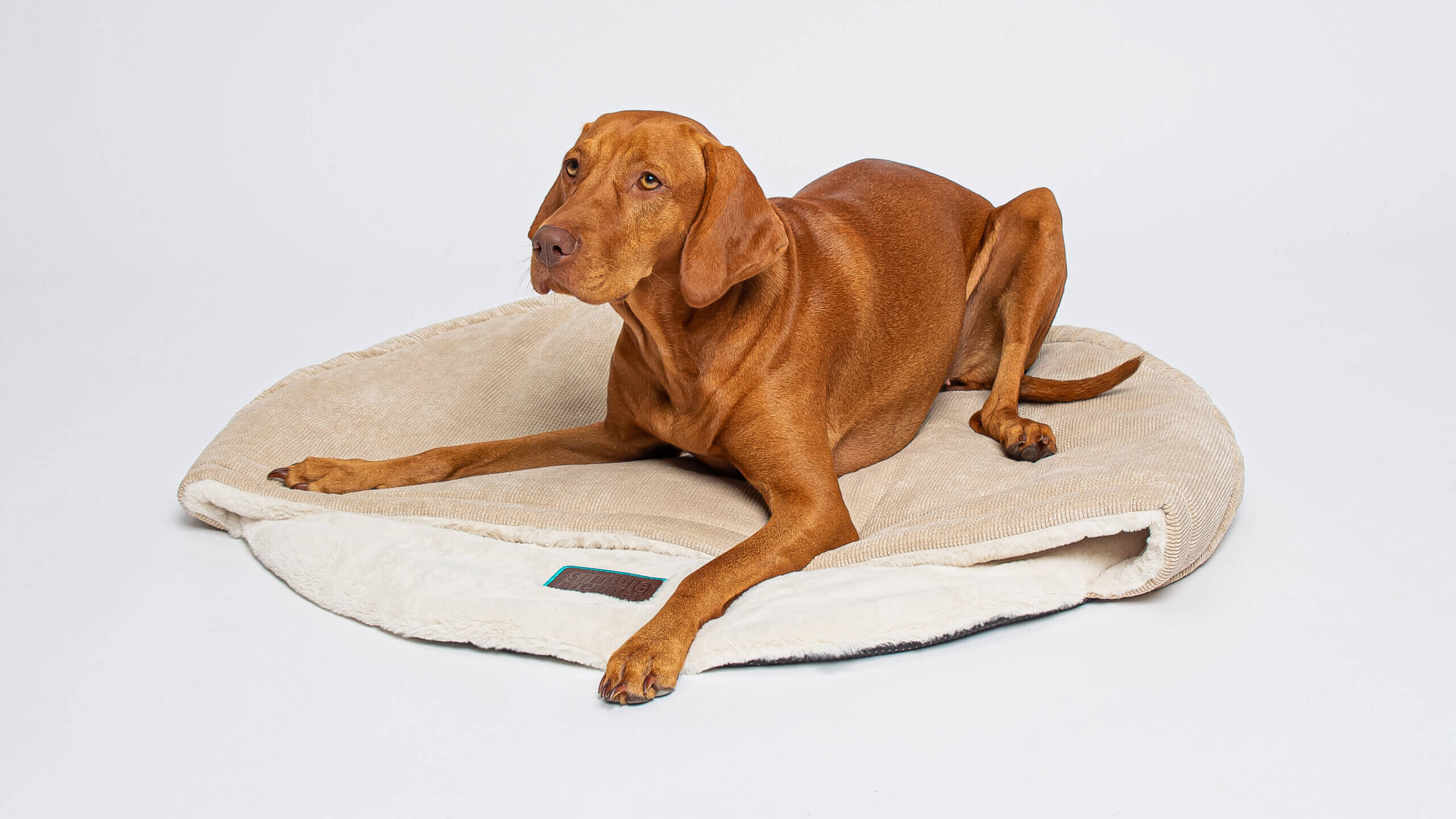 snuggle dreamer - Bess Travel Snuggle