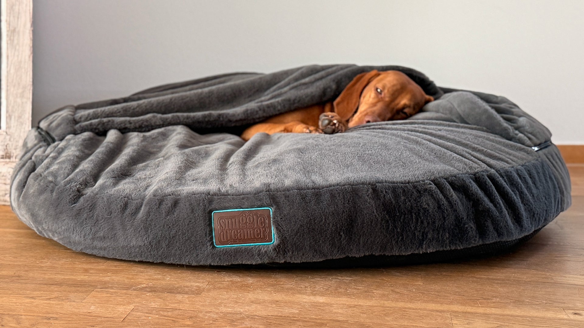 snuggle dreamer - EasyPeasy