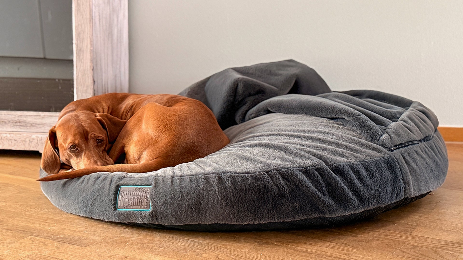 snuggle dreamer - EasyPeasy