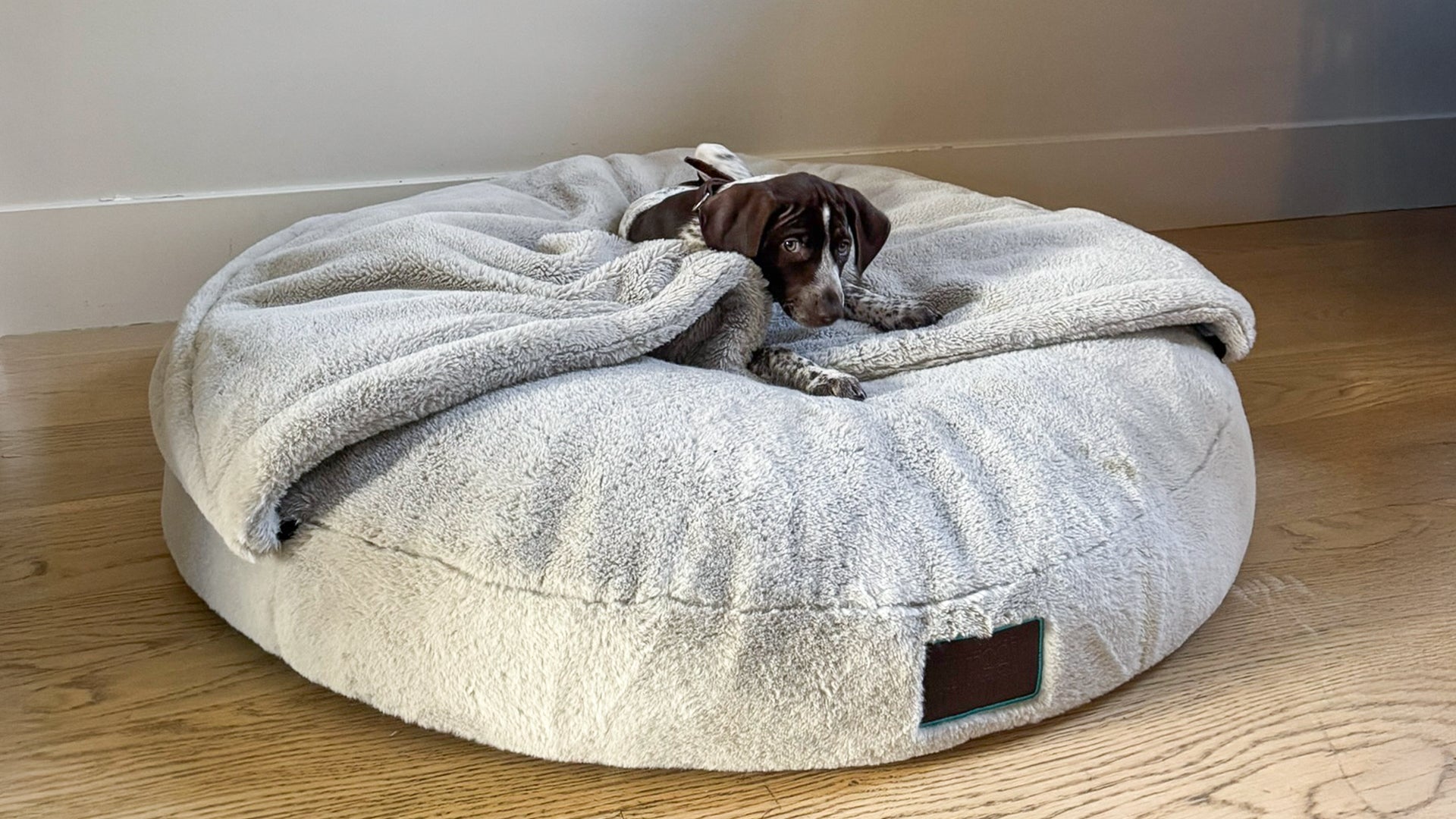 snuggle dreamer - EasyPeasy