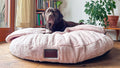 snuggle dreamer - EasyPeasy