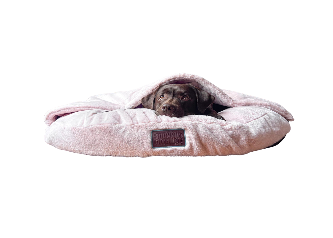 snuggle dreamer - EasyPeasy