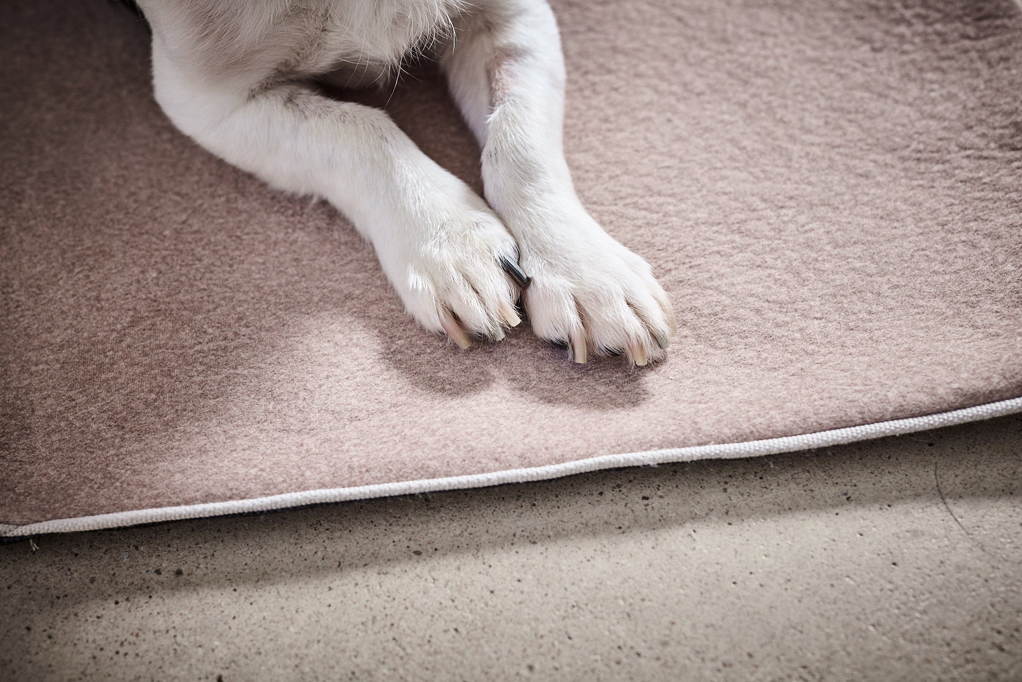 LABONI_Decke_Buffalo_creme_M_10