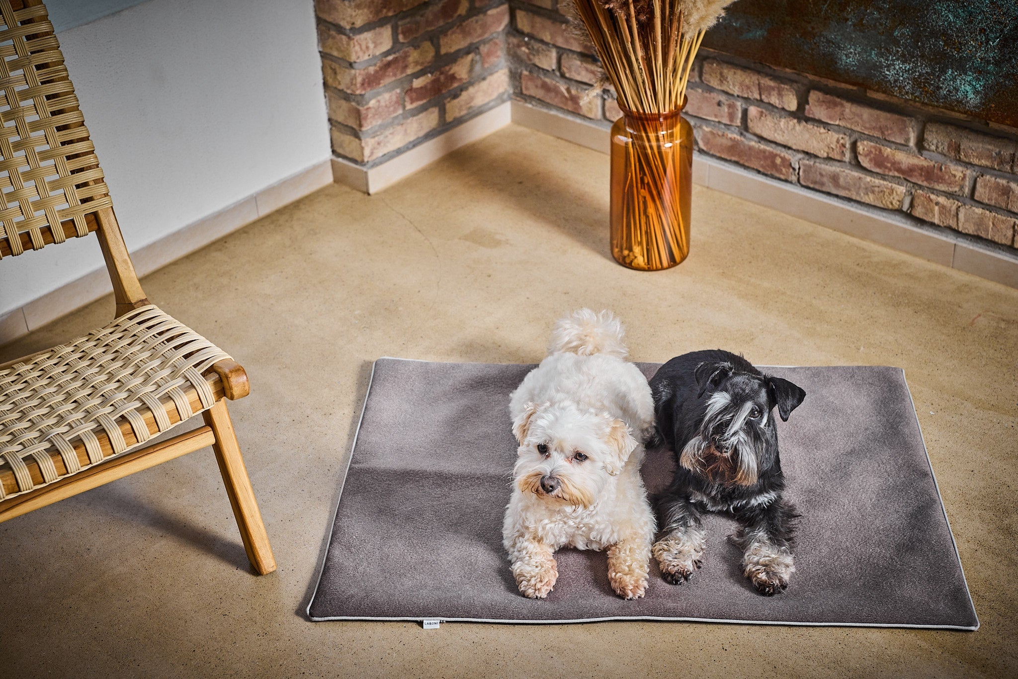 LABONI_Decke_Buffalo_taupe_M_04