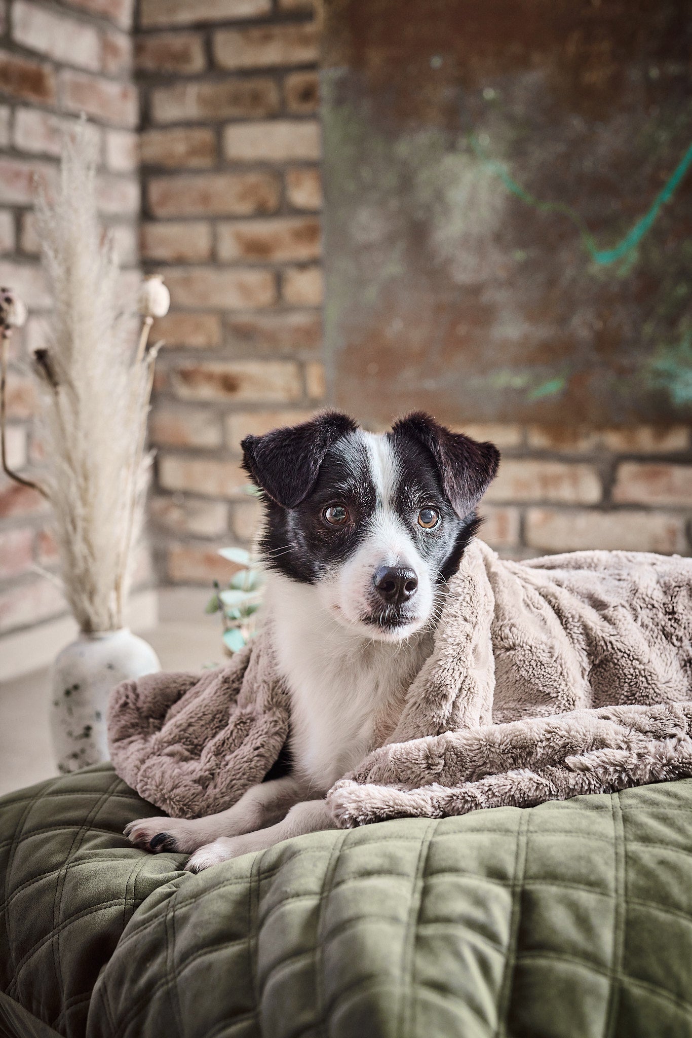 LABONI_Decke_Cozy_beige_22