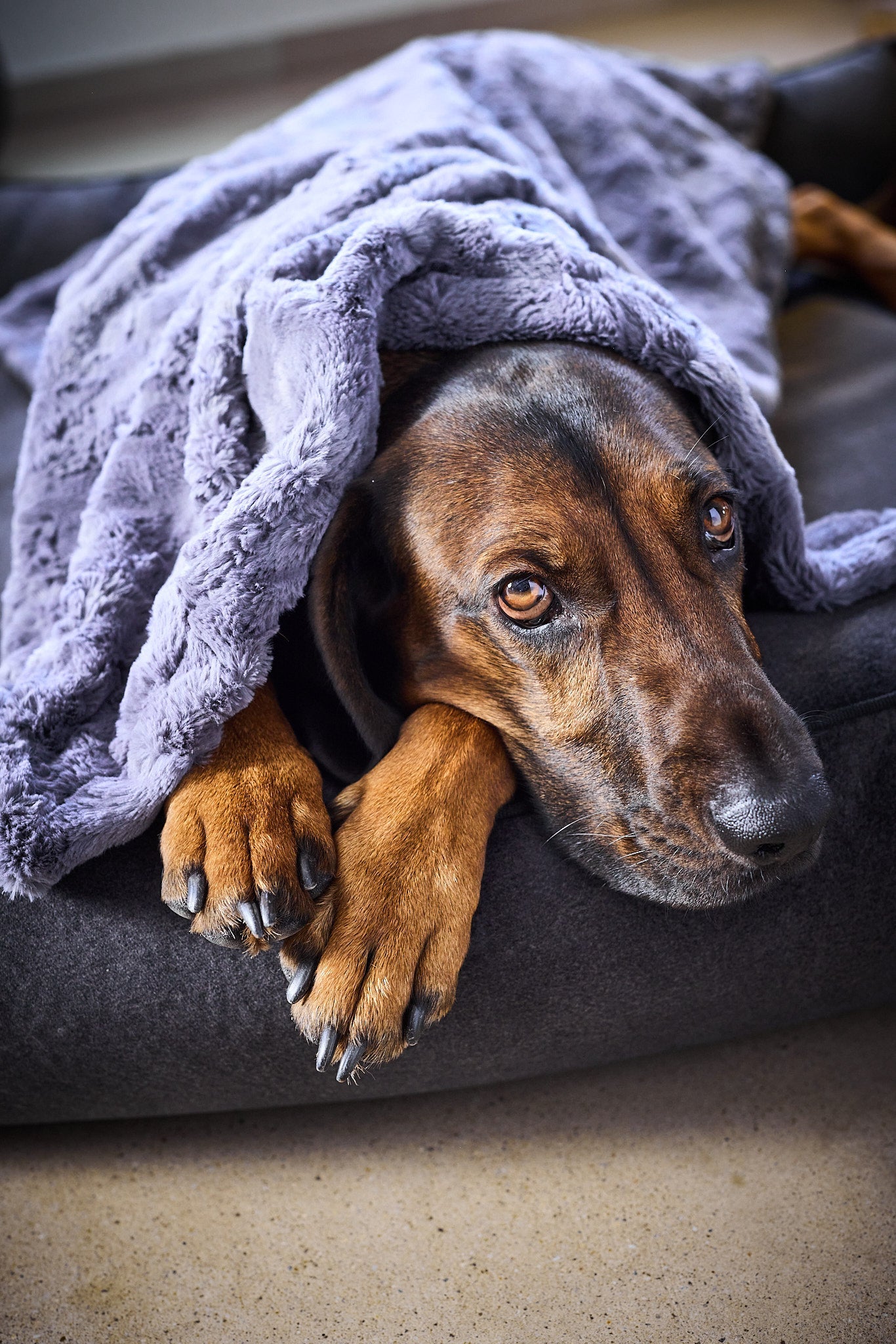 LABONI_Decke_Cozy_stone_05