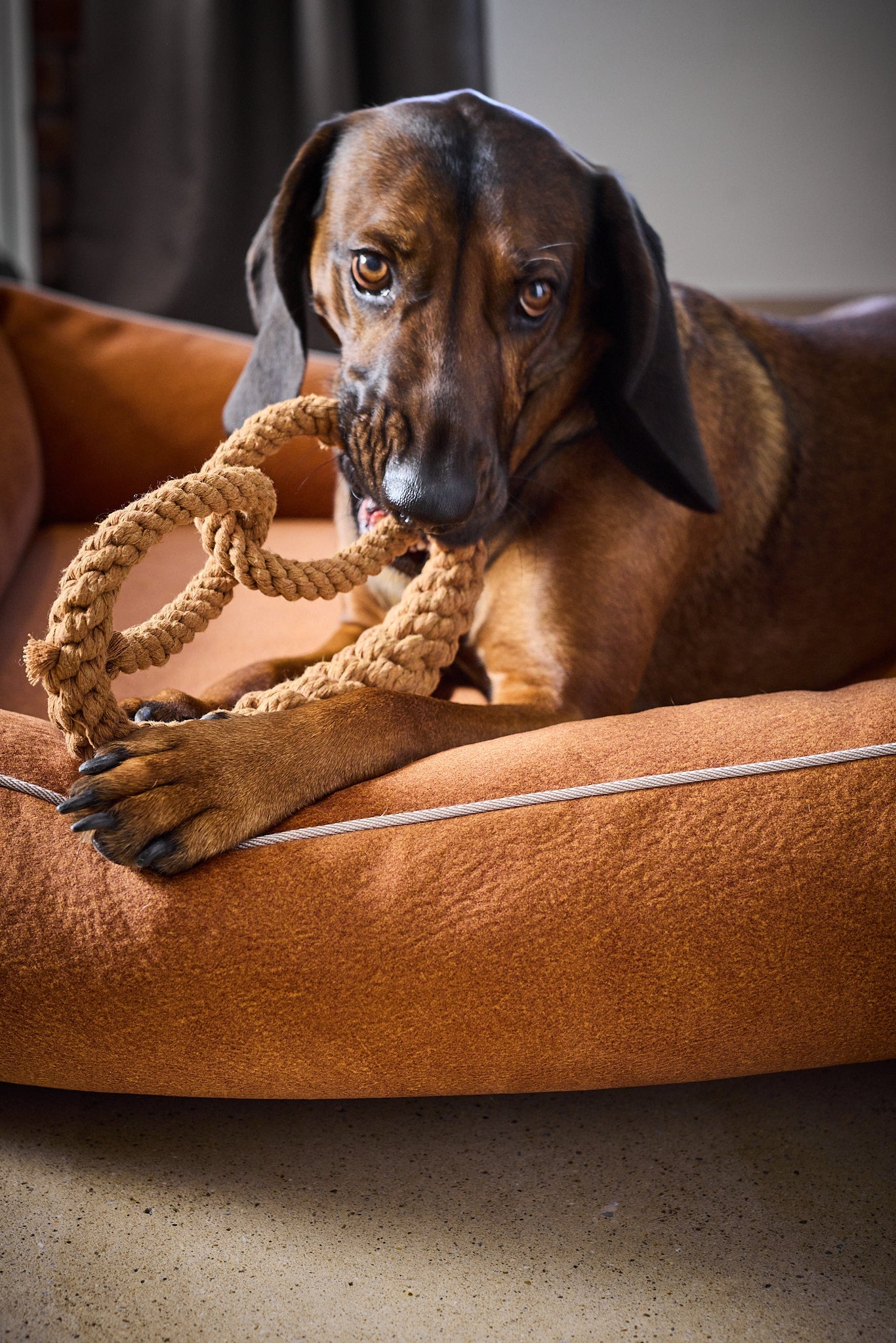 LABONI_Polsterbett_Buffalo_camel_L_20