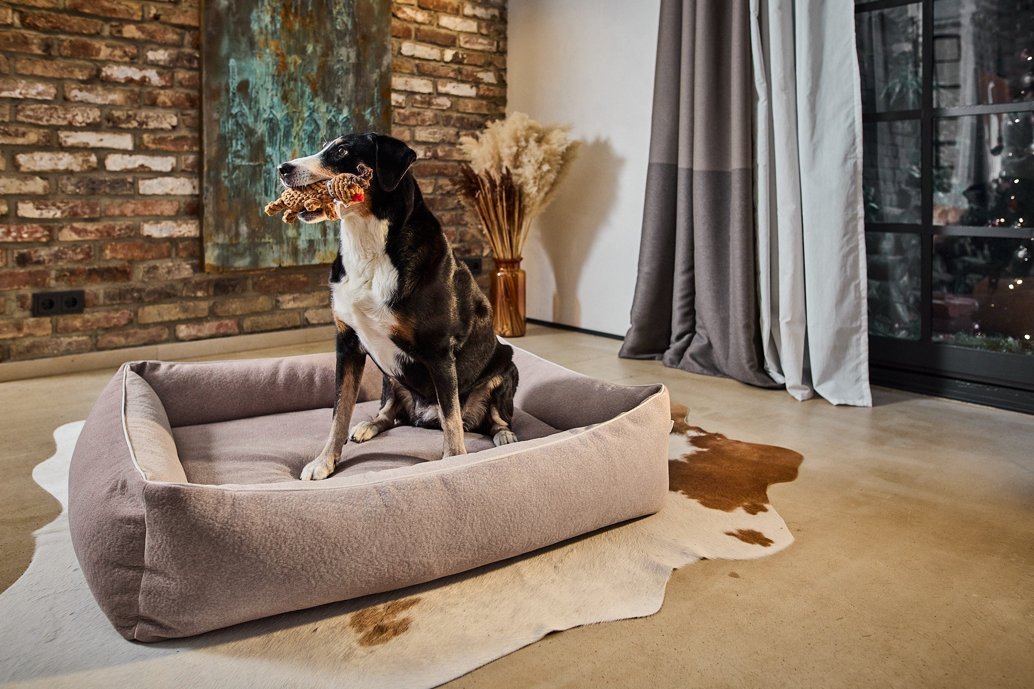 LABONI_Polsterbett_Buffalo_creme_L_10nGOqOyikqQFTZ