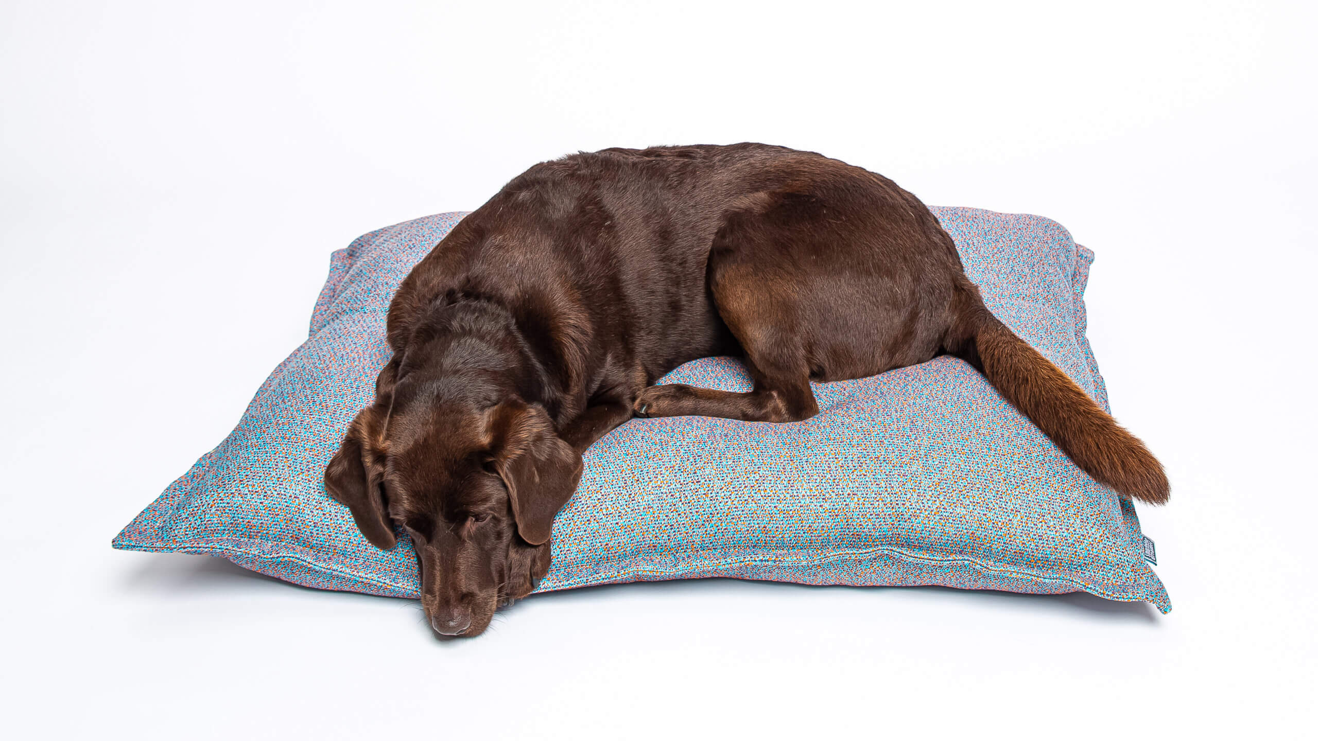 KalleRaus! Outdoor Cushion