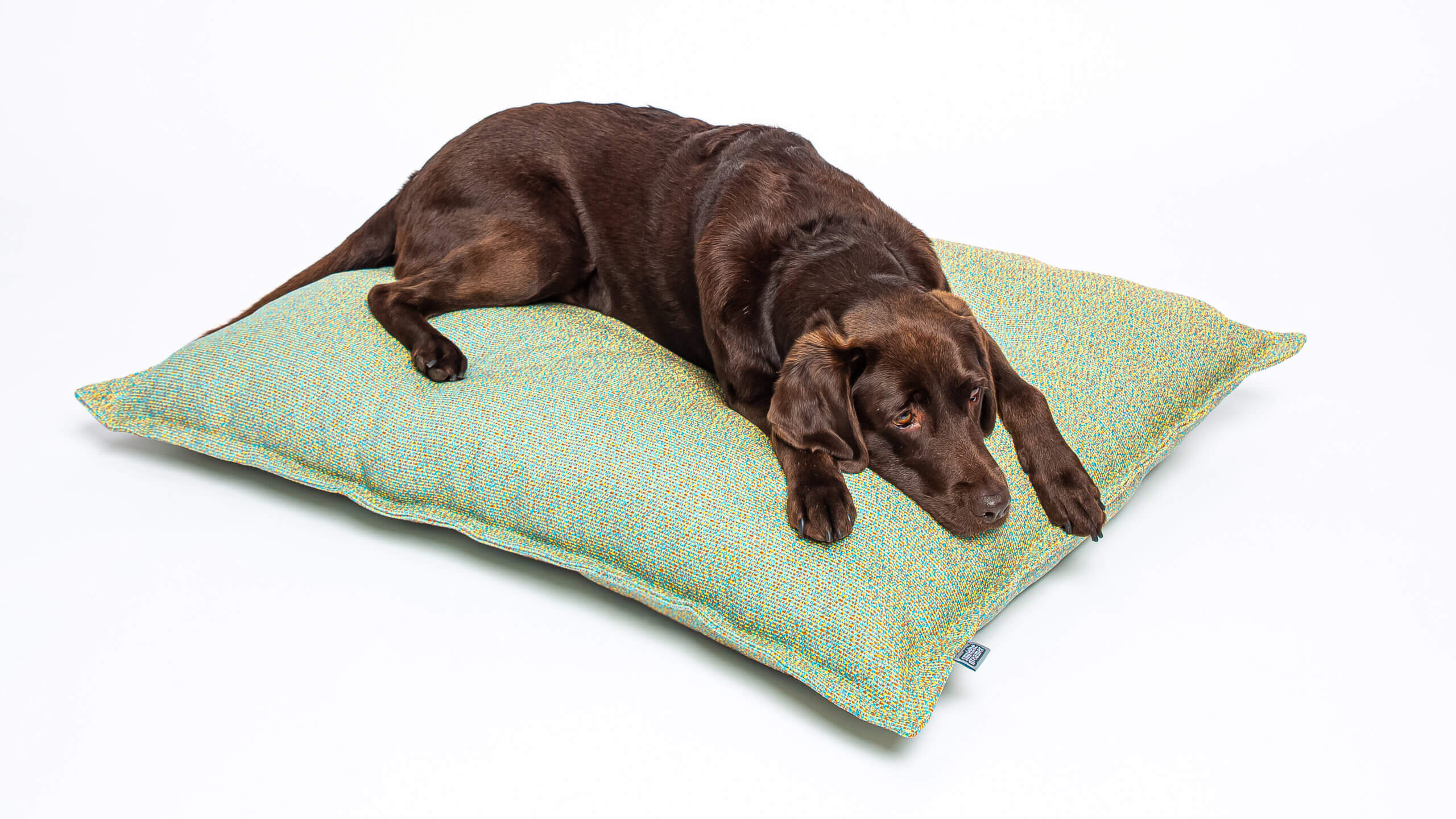 KalleRaus! Outdoor Cushion