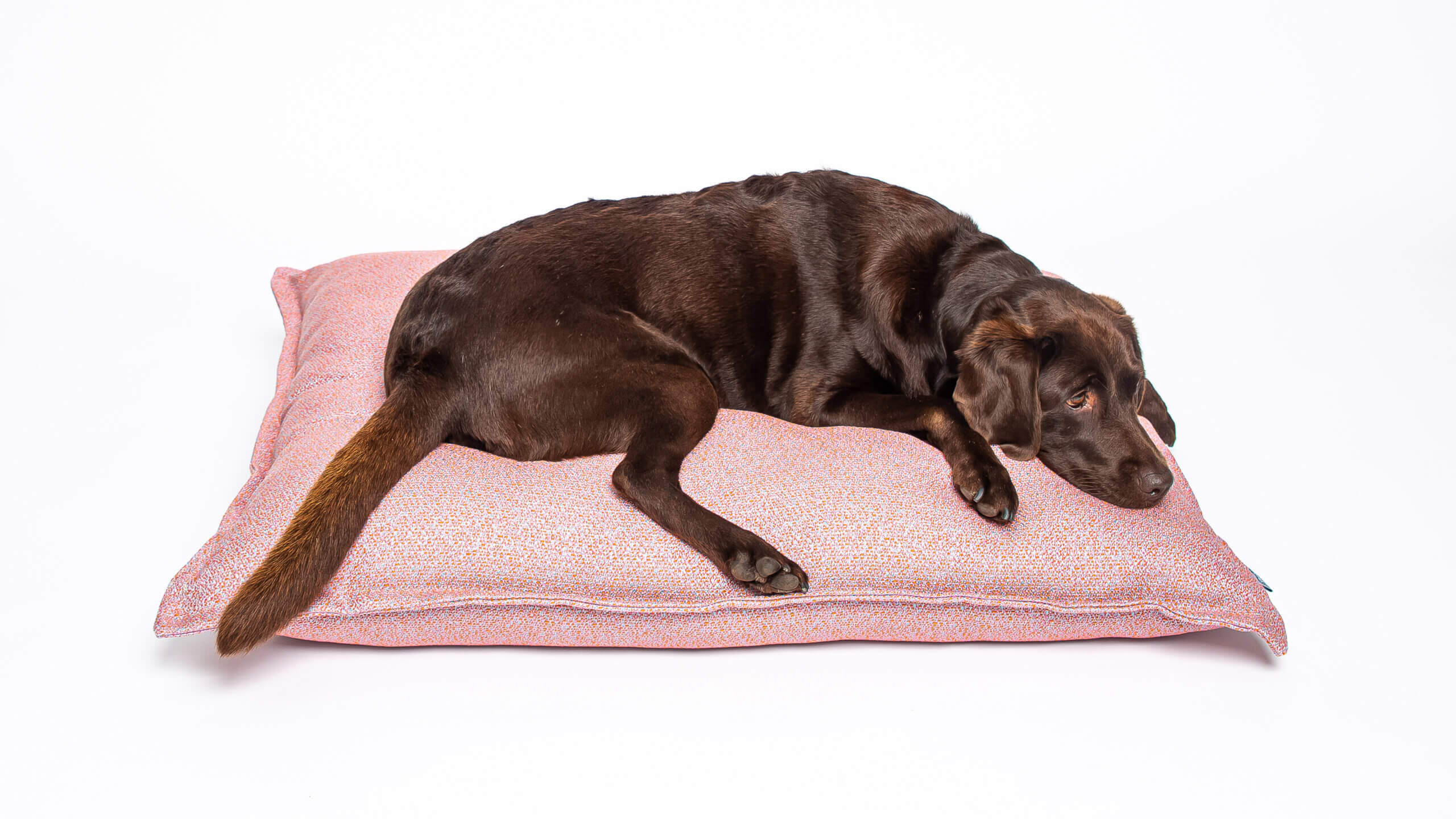 KalleRaus! Outdoor Cushion