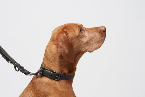 Halsband BlackPark