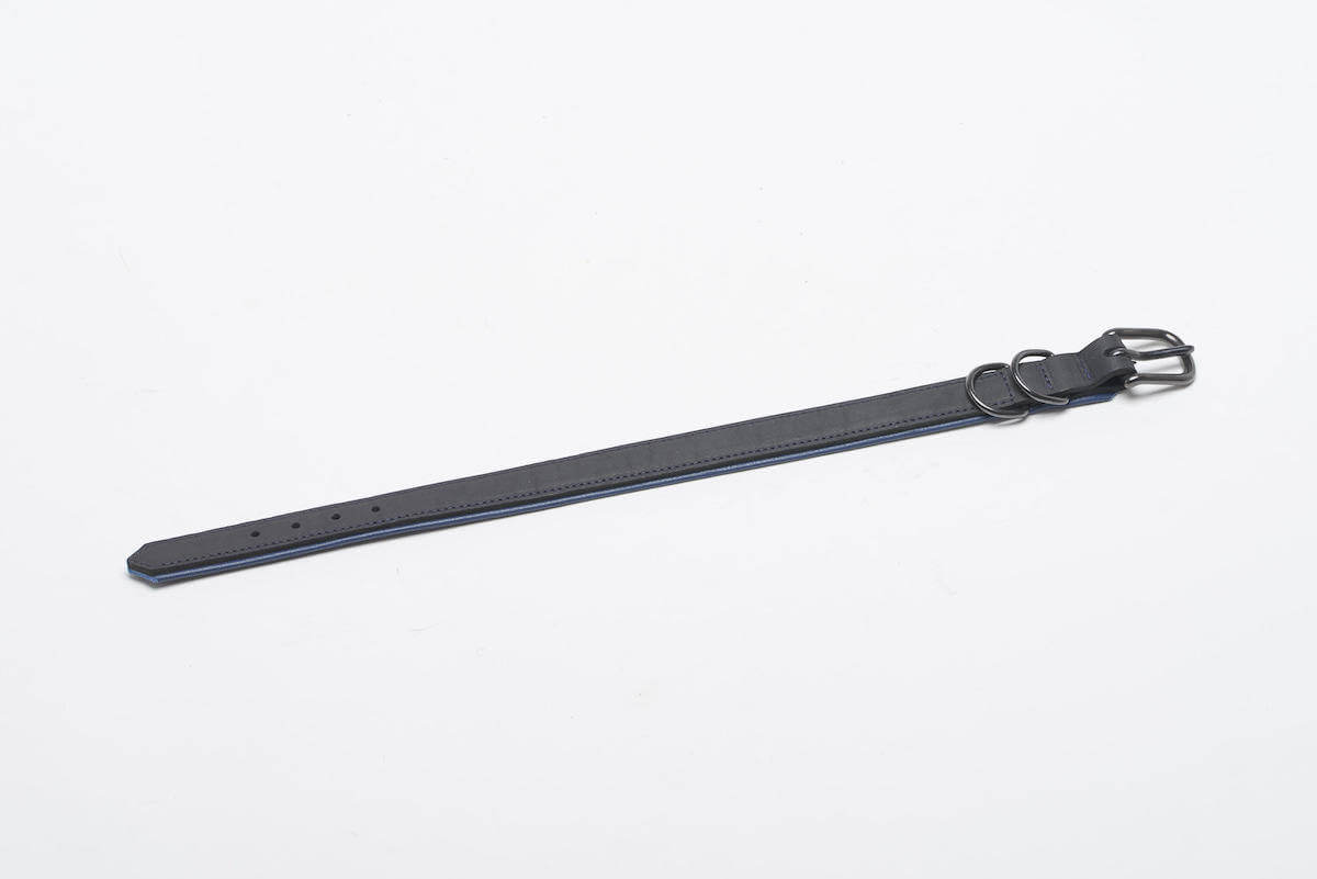 Halsband BlackSky