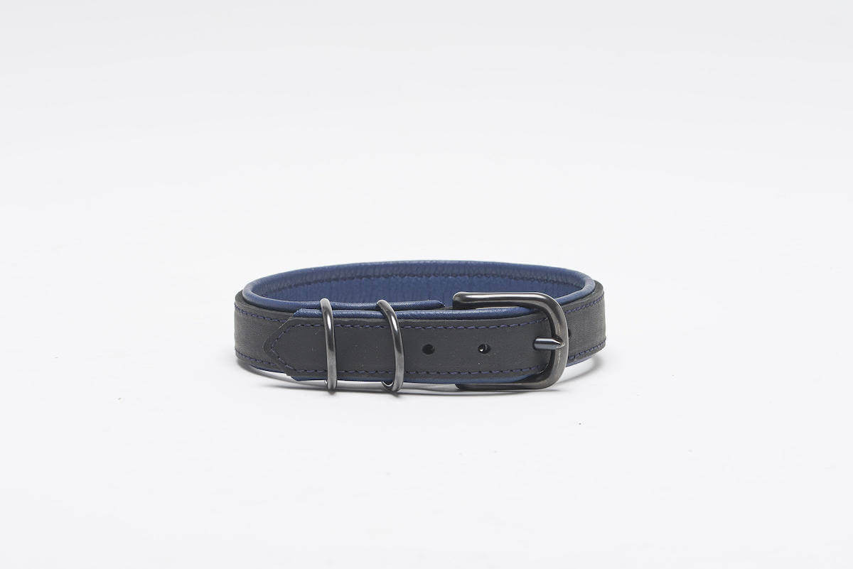 Halsband BlackSky