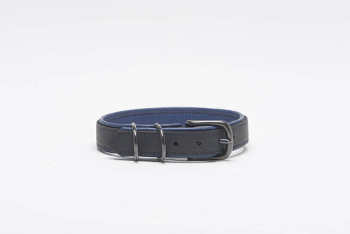 Halsband BlackSky