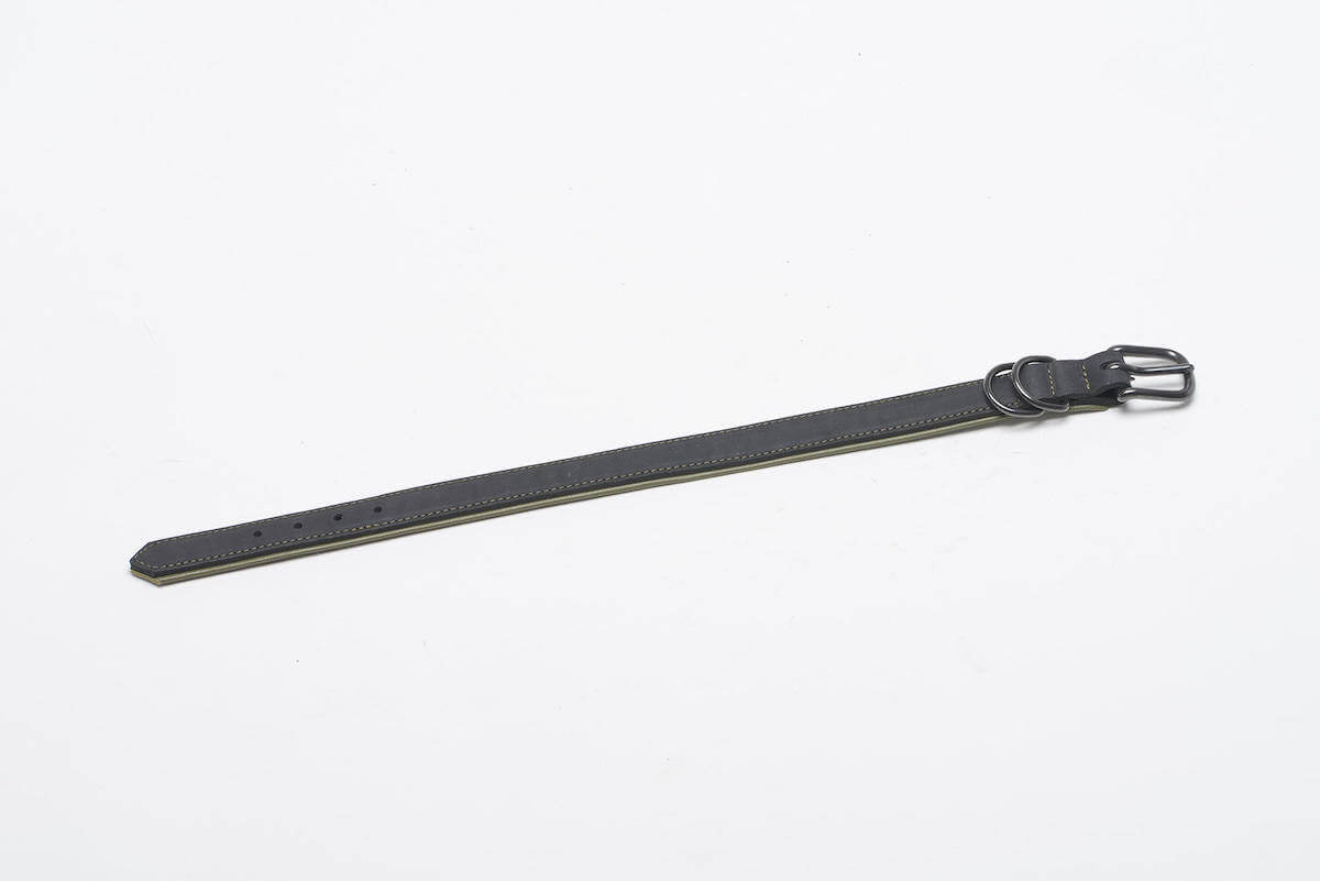 Halsband BlackPark