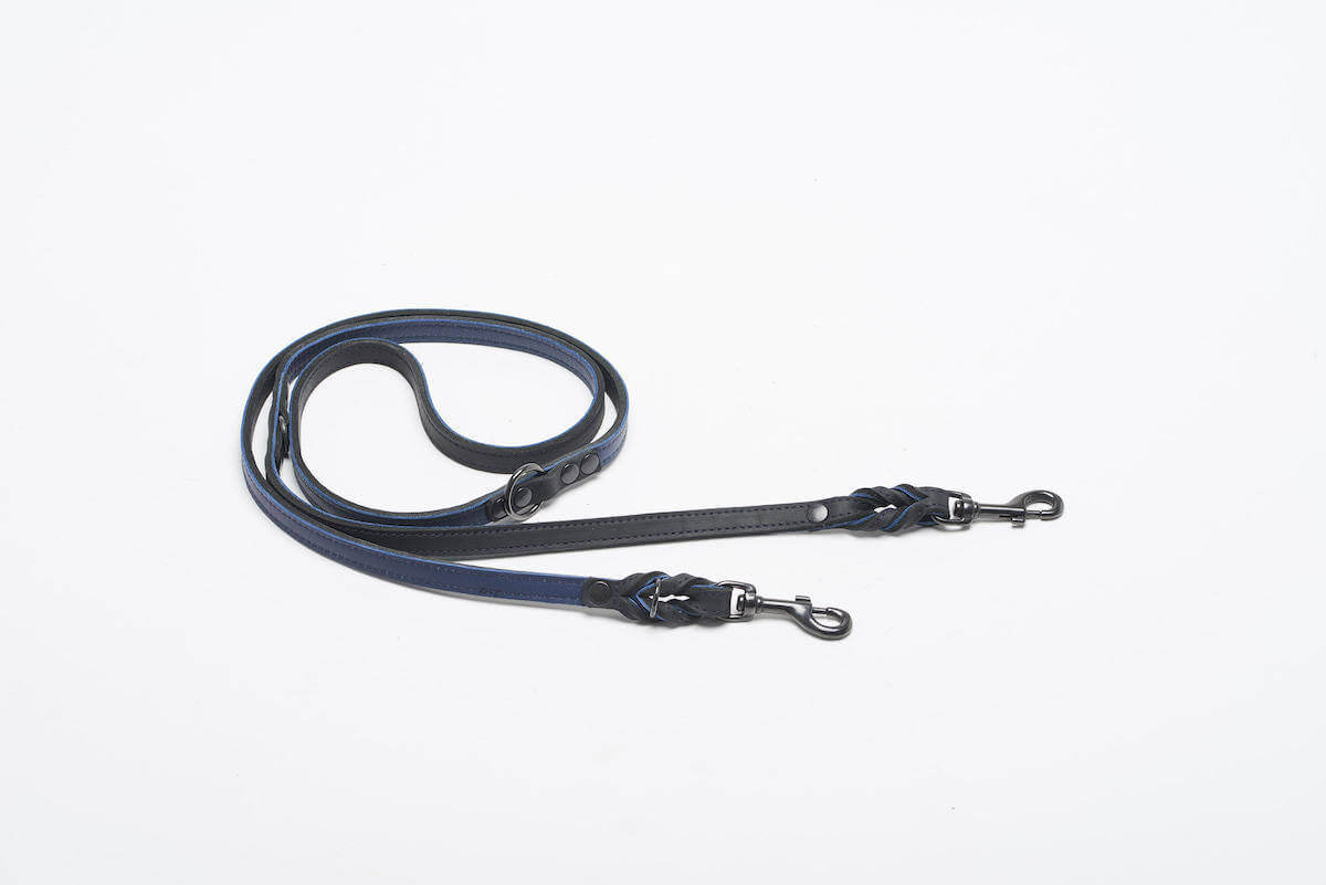 BlackSky Dog Leash
