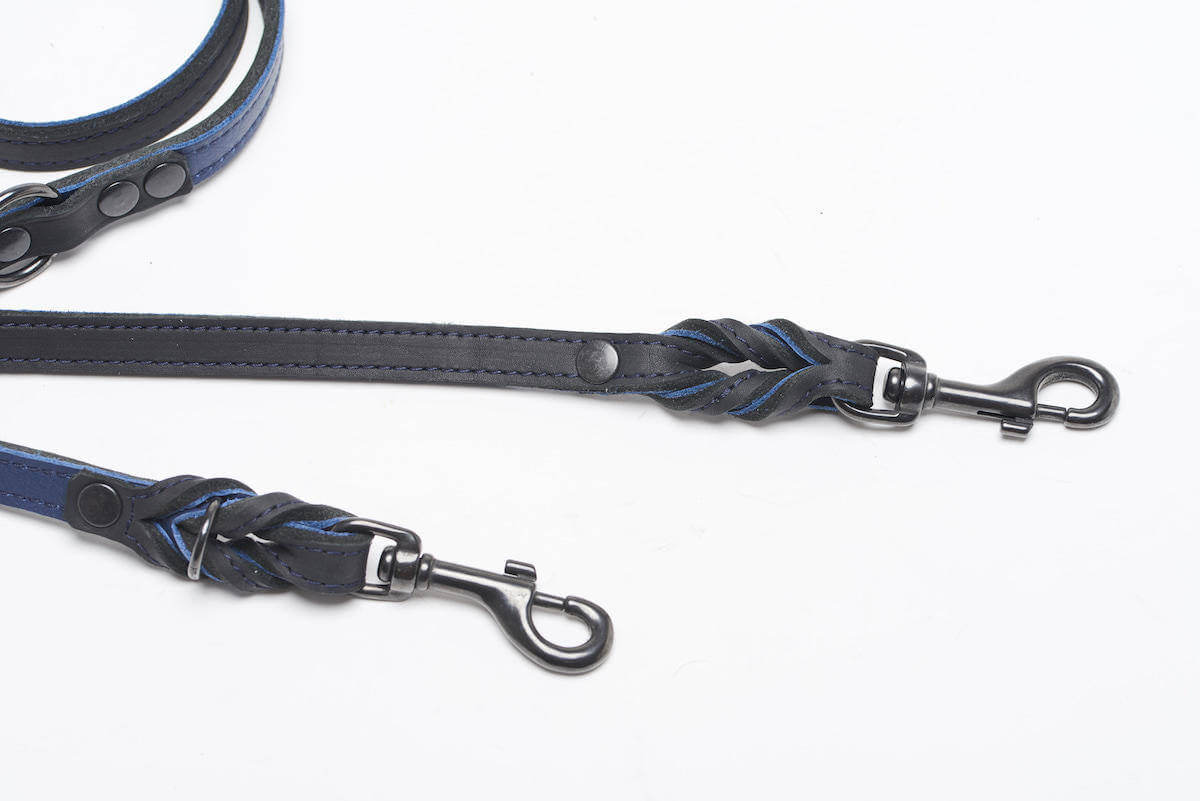 BlackSky Dog Leash