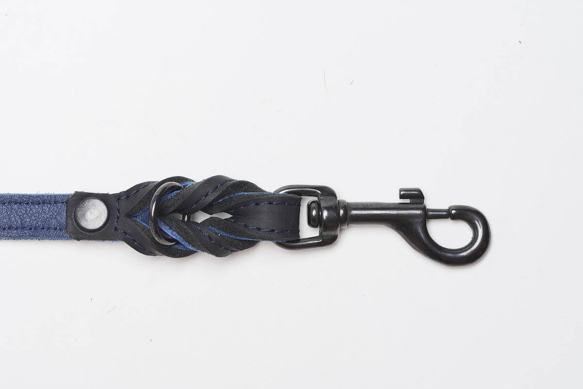 BlackSky Dog Leash