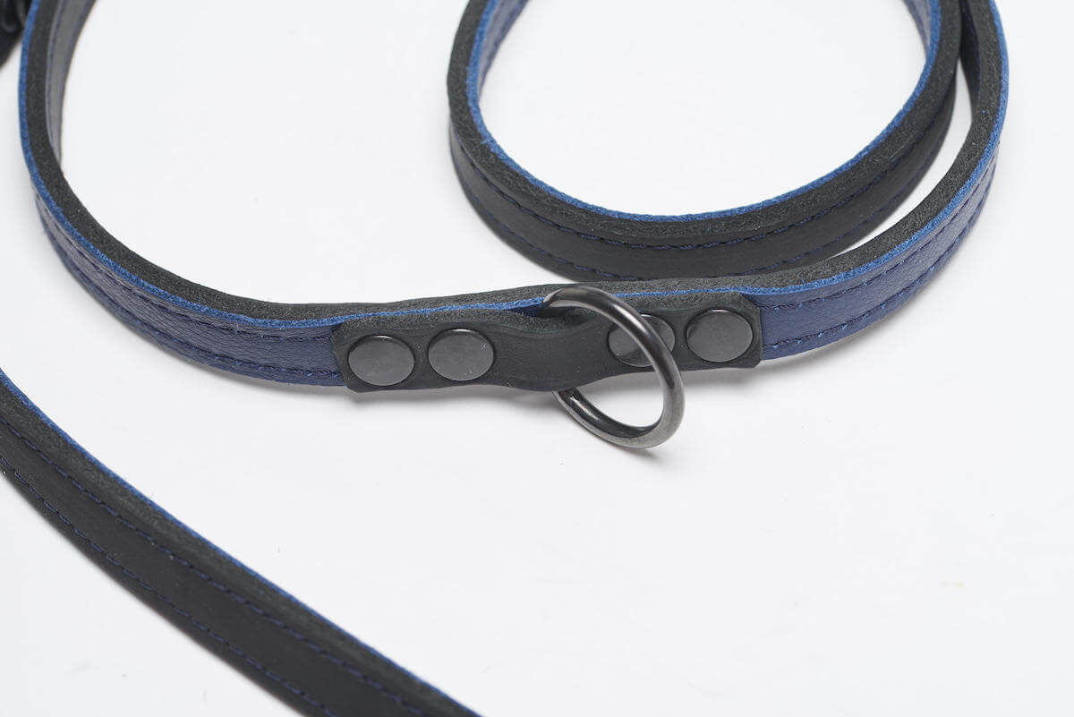 BlackSky Dog Leash